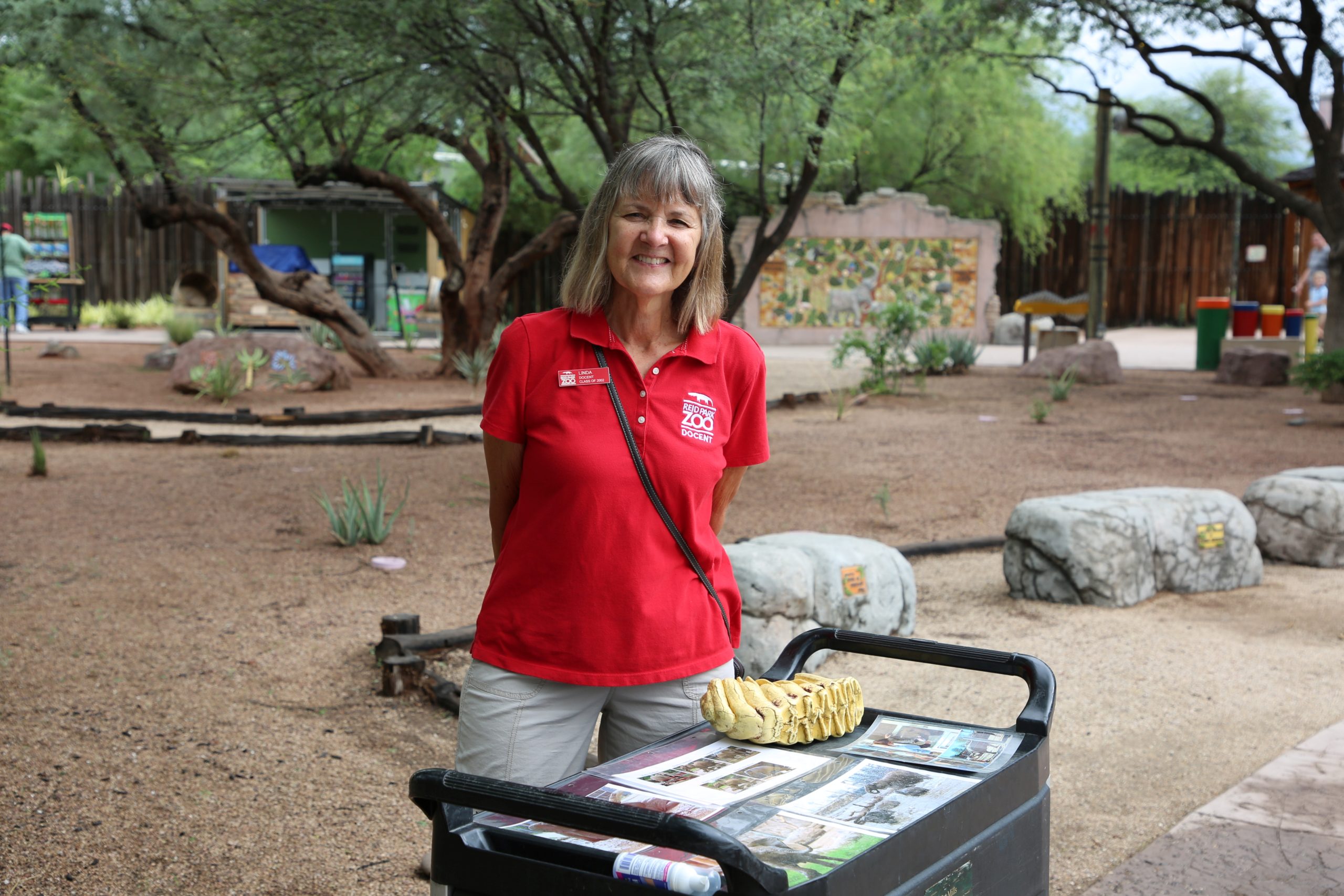 Community Service Recognition: Linda Down Reid Park Zoo Docent